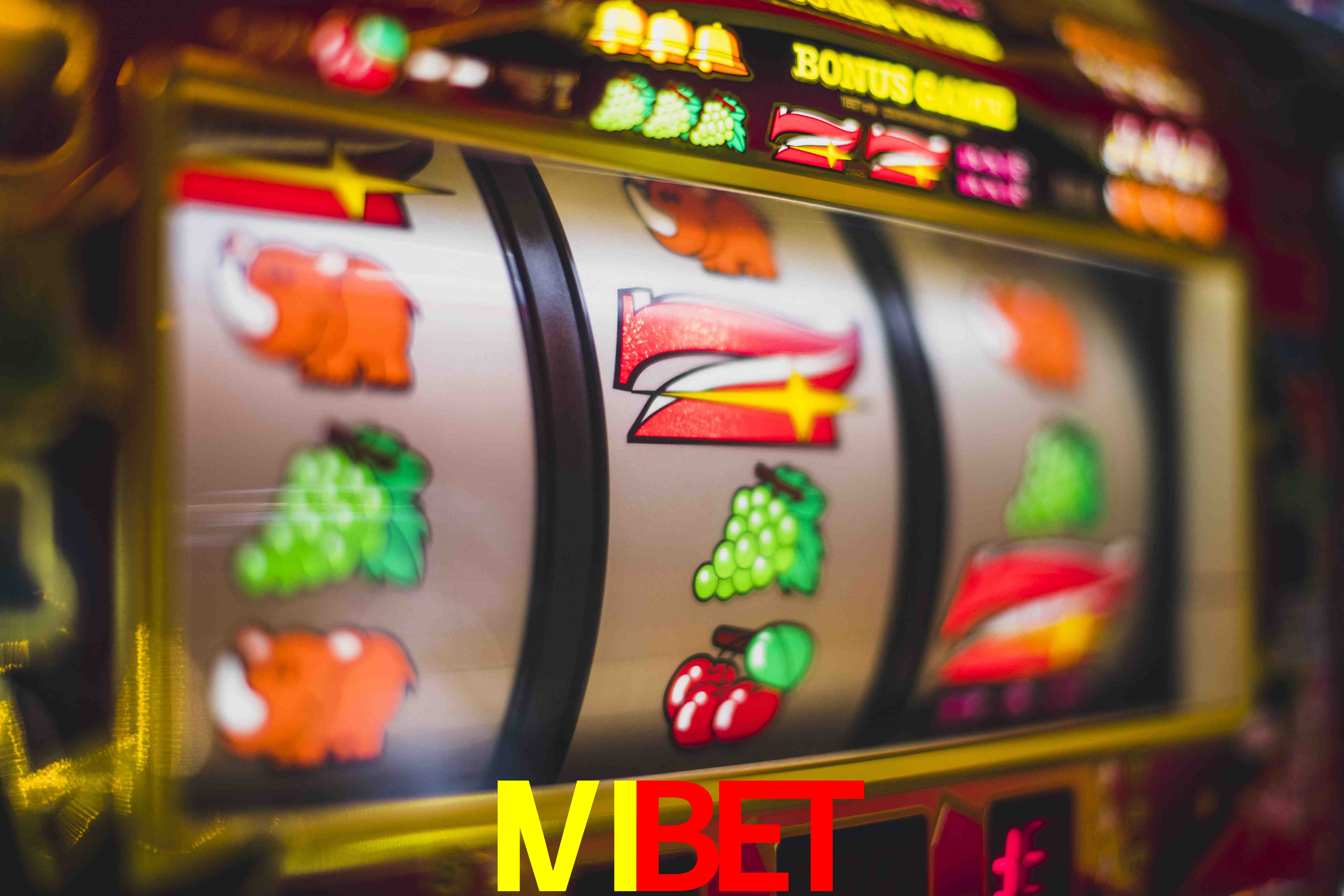 Live Casino IVIBET
